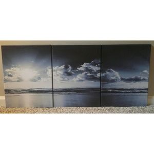Gently used 3 panel canvas ocean/clouds artwork
